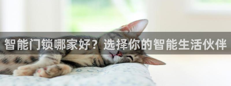 开丰娱乐体育平台：智能门锁哪家好？选择你的智能生活伙伴