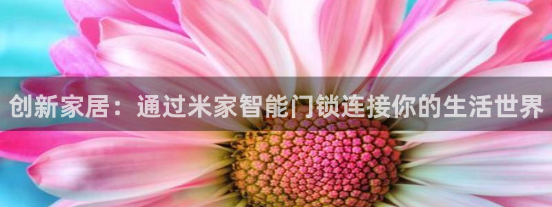 开丰娱乐姜333OO：创新家居：通过米家智能门锁连接你的生活
