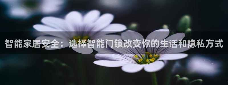 开丰娱乐予 7O935：智能家居安全：选择智能门锁改变你的生