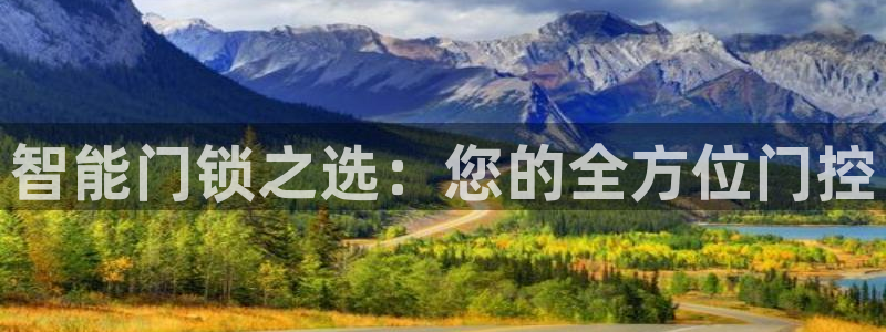 开丰娱乐怎么开转点：智能门锁之选：您的全方位门控