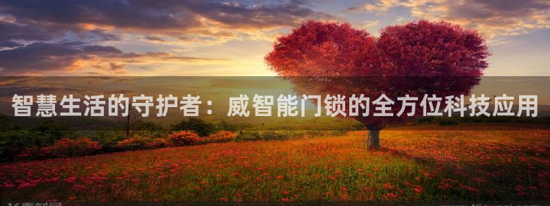 开丰娱乐官网平台：智慧生活的守护者：威智能门锁的全方位科技应