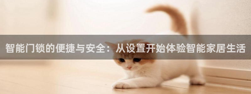 如何注册开丰娱乐账号：智能门锁的便捷与安全：从设置开始体验智