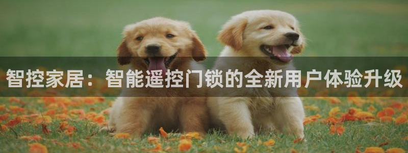 开丰娱乐姜333OO：智控家居：智能遥控门锁的全新用户体验升