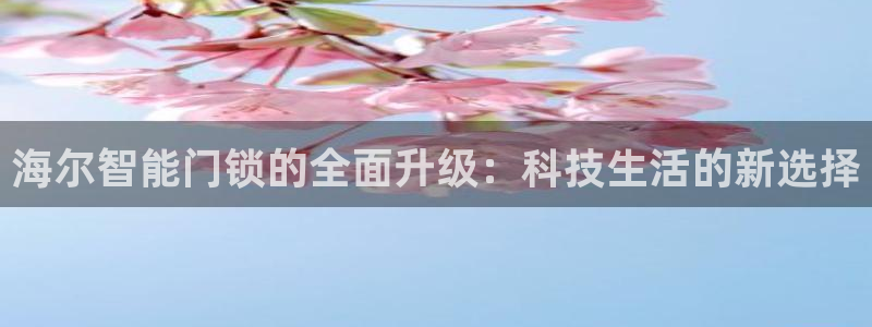 开丰娱乐月：海尔智能门锁的全面升级：科技生活的新选择