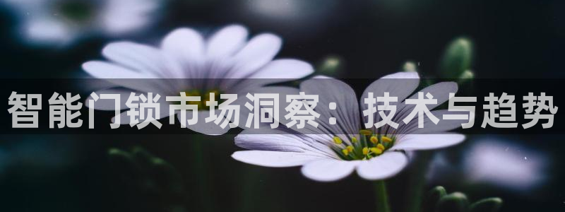 开丰娱乐登入地址是什么：智能门锁市场洞察：技术与趋势