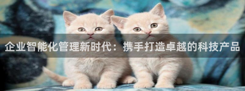 开丰娱乐注册登录不了：企业智能化管理新时代：携手打造卓越的科