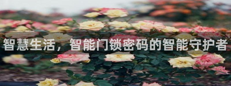 如何注册开丰娱乐账号：智慧生活，智能门锁密码的智能守护者