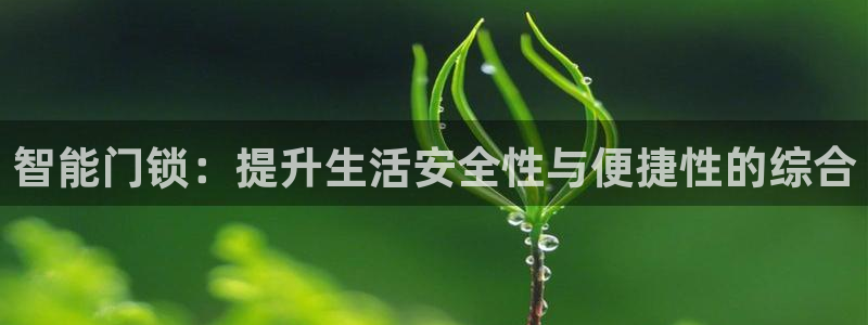 开丰娱乐后：智能门锁：提升生活安全性与便捷性的综合