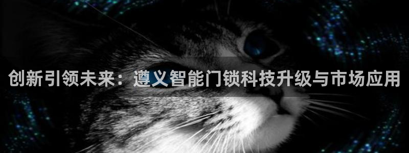 开丰娱乐67 5138：创新引领未来：遵义智能门锁科技升级与