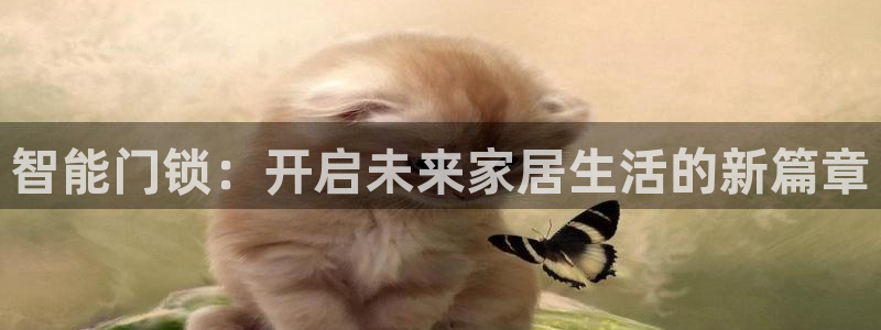 开丰娱乐平台官网登录：智能门锁：开启未来家居生活的新篇章