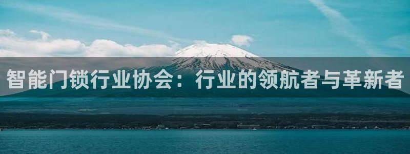 开丰娱乐平台注册时间：智能门锁行业协会：行业的领航者与革新者