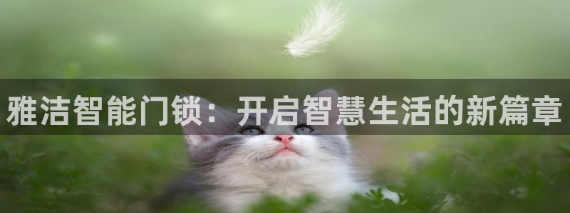 开丰娱乐平台注册时间：雅洁智能门锁：开启智慧生活的新篇章