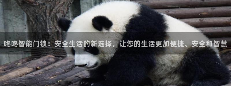 开丰娱乐登入地址：咚咚智能门锁：安全生活的新选择，让您的生活