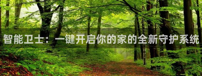 开丰娱乐下载安装：智能卫士：一键开启你的家的全新守护系统