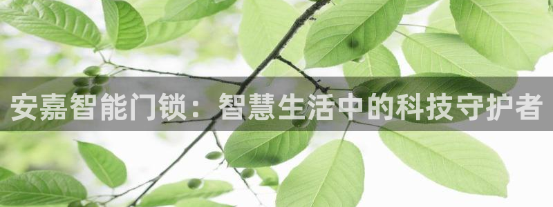 开丰娱乐官网登录网址：安嘉智能门锁：智慧生活中的科技守护者