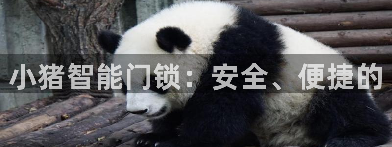 开丰娱乐主管家去判官333OO：小猪智能门锁：安全、便捷的