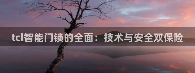 开丰娱乐万六七五一38：tcl智能门锁的全面：技术与安全双保